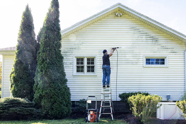 Best Soft Washing in Franklinville, NC